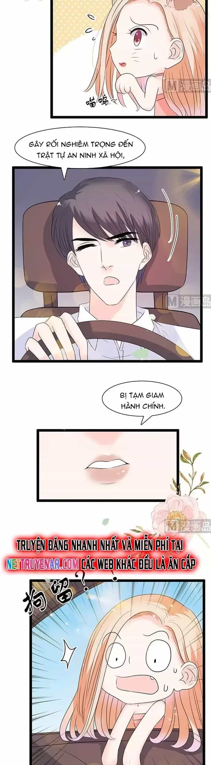 Chu Tiên Sinh, Ép Cưới Phạm Pháp Đó - Chương 47 - ảnh 11