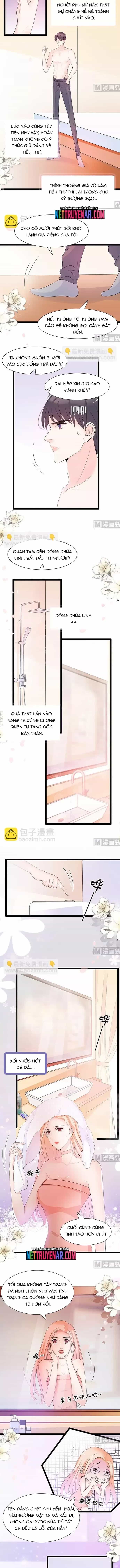 Chu Tiên Sinh, Ép Cưới Phạm Pháp Đó - Chương 60 - ảnh 5