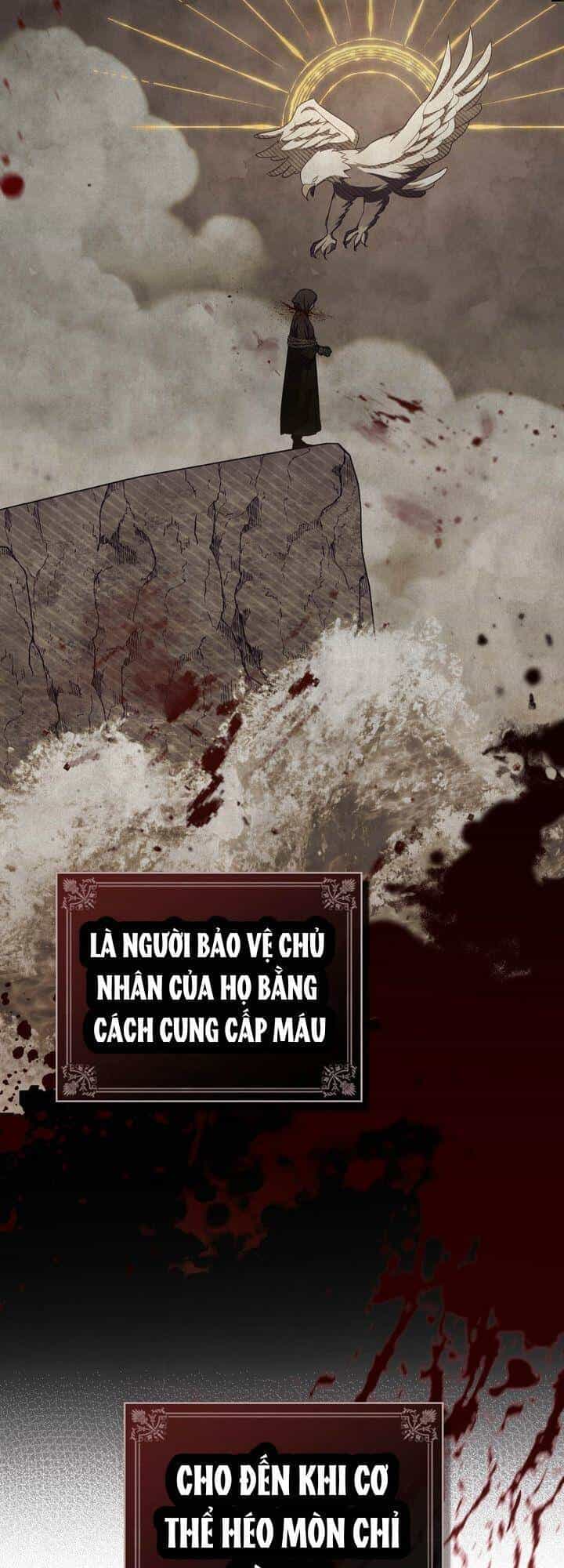 Chúa Phù Hộ Cho Sự Hủy Diệt Của Ta - Chương 5 - ảnh 9