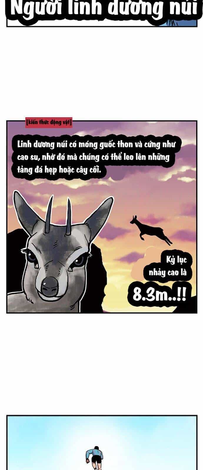 Chúa Tể Muôn Loài - Chương 11 - ảnh 31