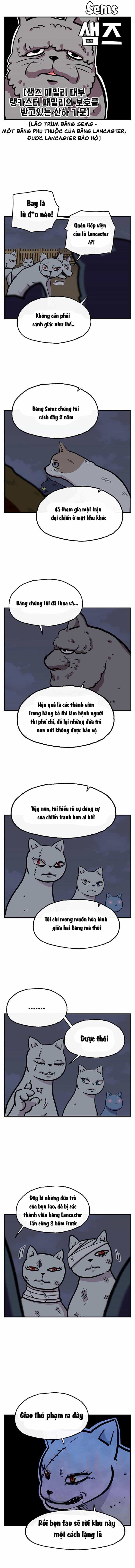 Chúa Tể Muôn Loài - Chương 25 - ảnh 13