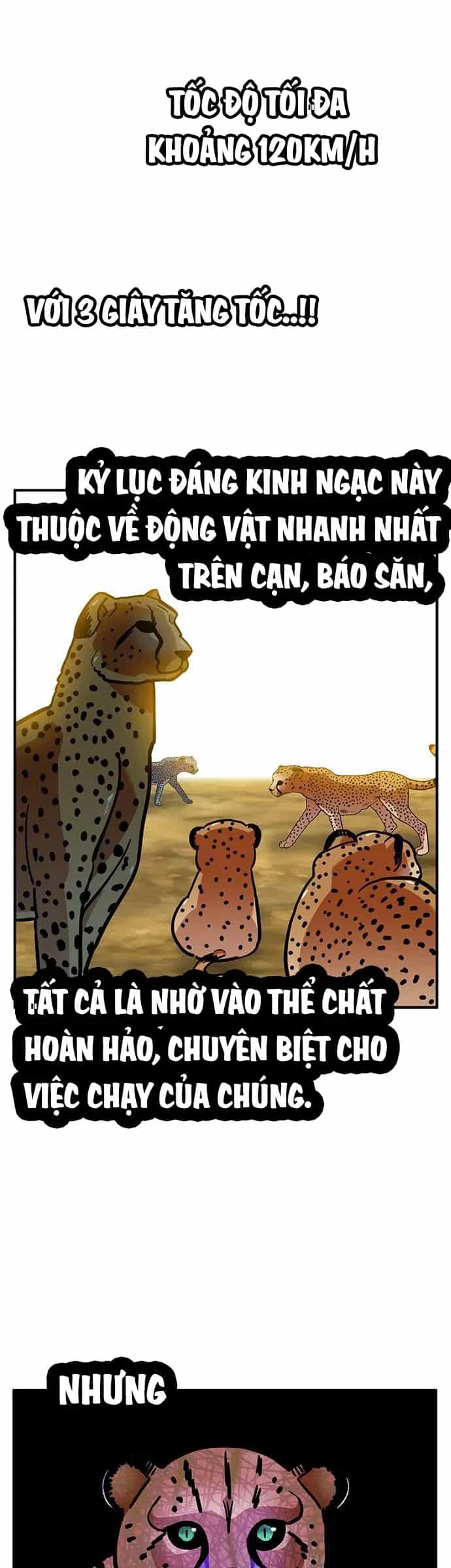 Chúa Tể Muôn Loài - Chương 87 - ảnh 3