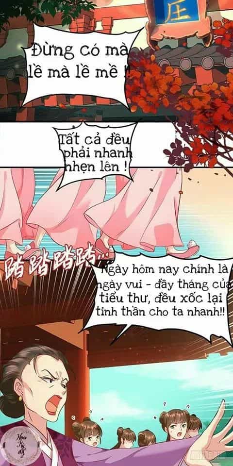 Chưởng Gia Tiểu Nương Tử - Chương 1 - ảnh 9