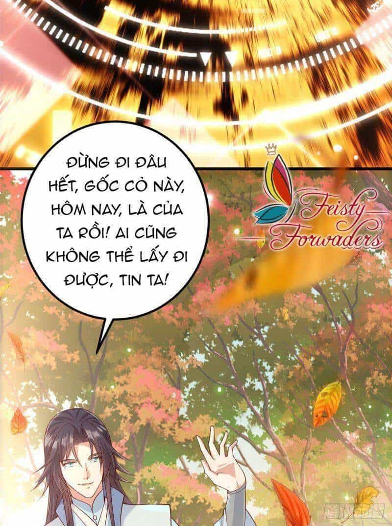 Chưởng Môn Khiêm Tốn Chút - Chương 4 - ảnh 47