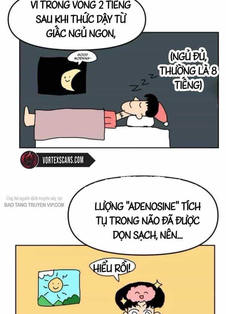 Chương Trình Đào Tạo Đại Pháp Sư - Chương 14 - ảnh 61