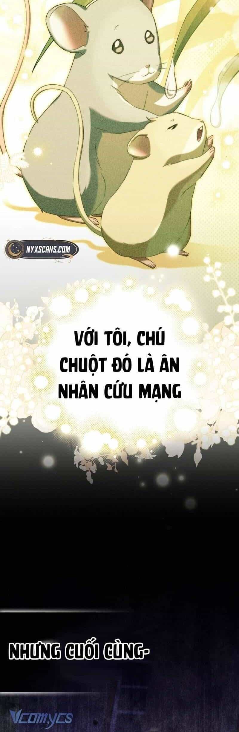 Chuột Đồng Này Sẽ Đưa Lọ Lem Đi - Chương 11 - ảnh 52