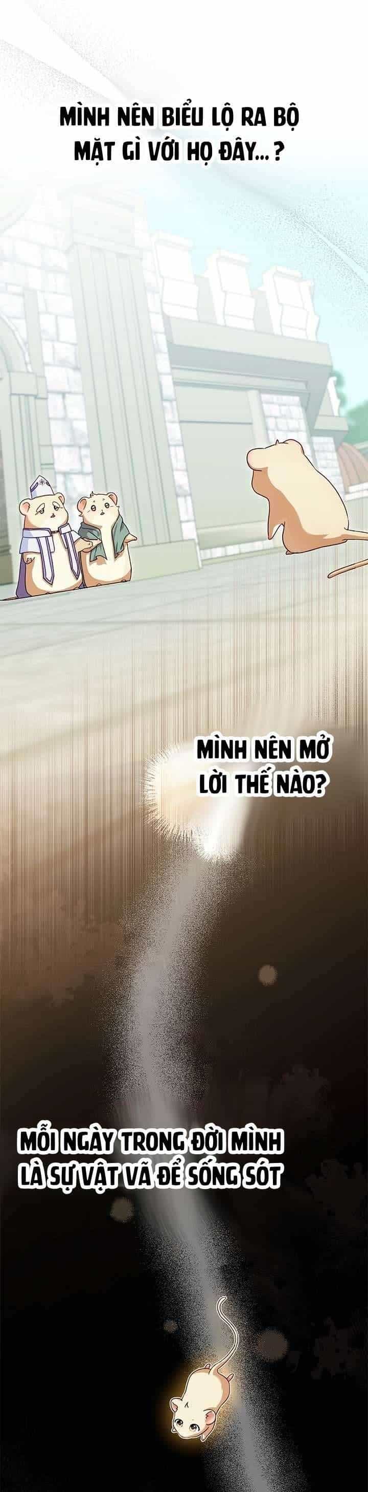 Chuột Đồng Này Sẽ Đưa Lọ Lem Đi - Chương 6 - ảnh 16