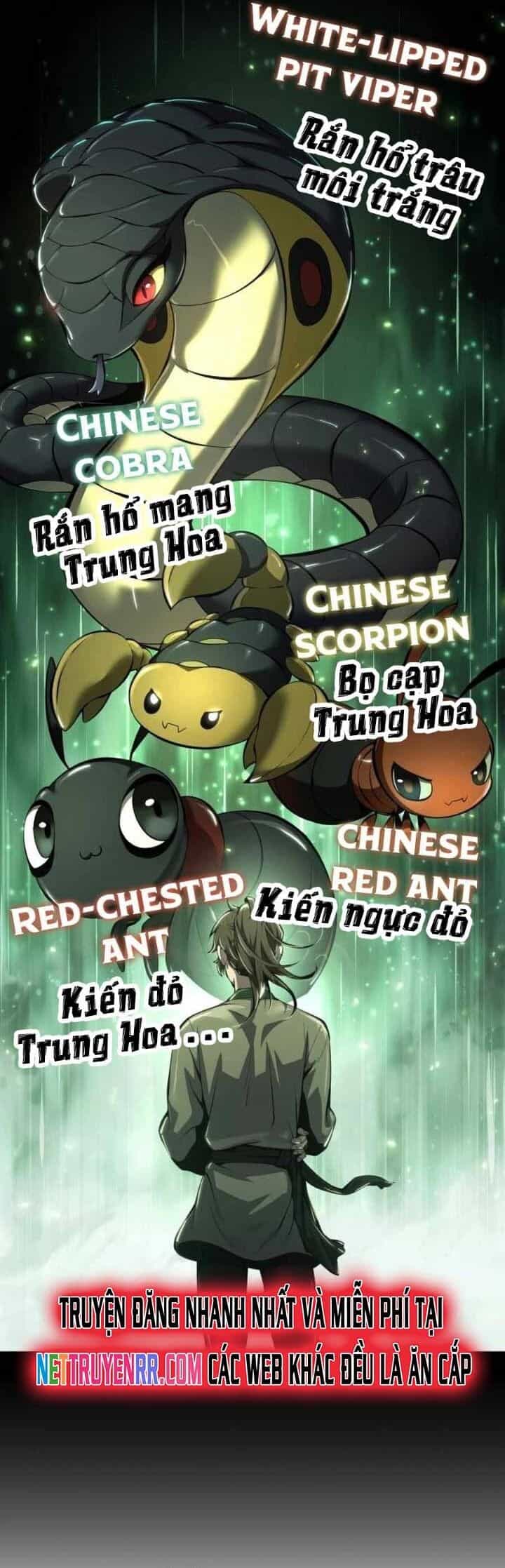 Chuyên Gia Côn Trùng Tại Đường Gia Tứ Xuyên - Chương 29 - ảnh 34