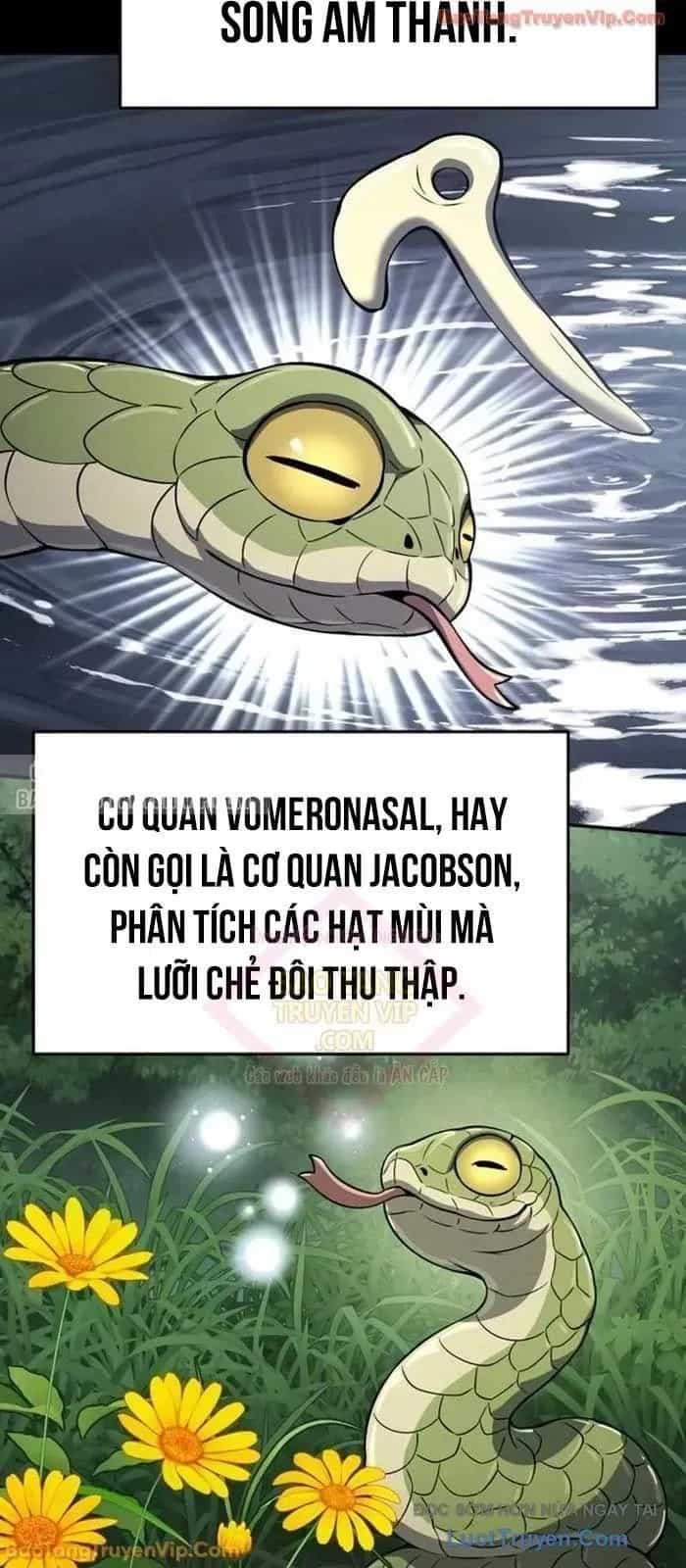 Chuyên Gia Côn Trùng Tại Đường Gia Tứ Xuyên - Chương 60 - ảnh 8