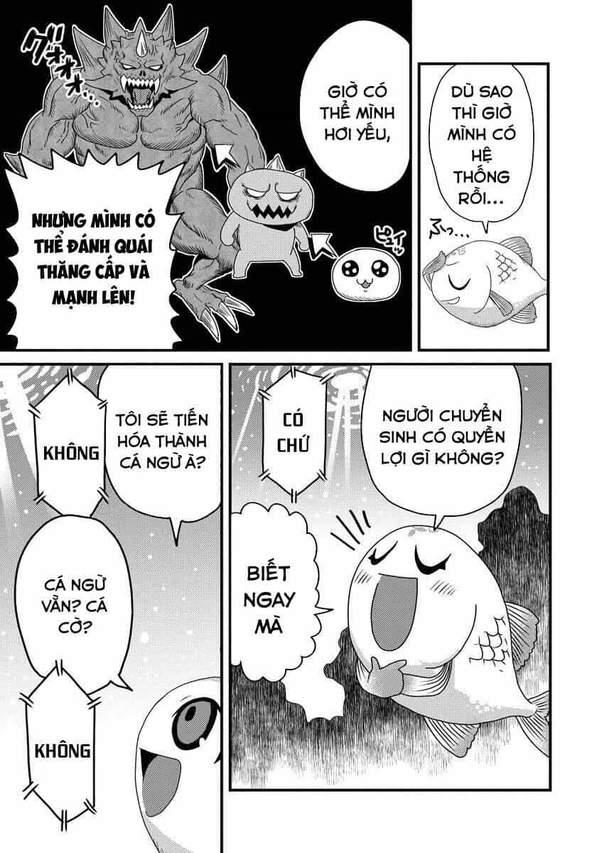 Chuyển Sinh Thành Cá, Tôi Sẽ Tiến Hóa Thành Rồng Ở Dị Giới - Chương 1.2 - ảnh 2