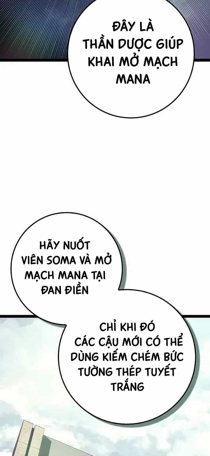 Chuyển Sinh Thành Con Ngoài Giá Thú Của Gia Đình Kiếm Thuật Danh Tiếng - Chương 19 - ảnh 79
