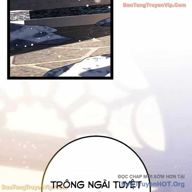 Chuyển Sinh Thành Con Ngoài Giá Thú Của Gia Đình Kiếm Thuật Danh Tiếng - Chương 61 - ảnh 127