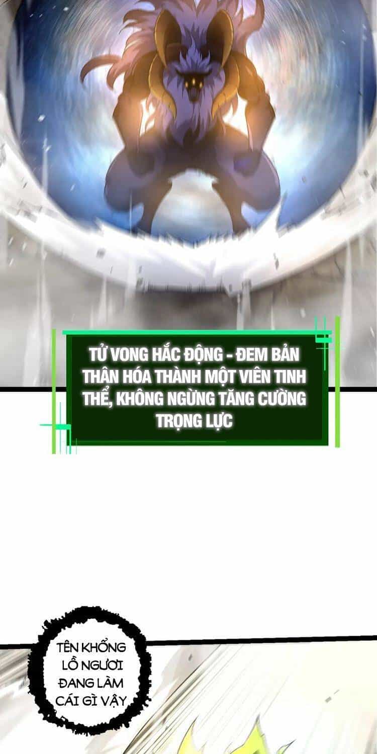 Chuyển Sinh Thành Liễu Đột Biến - Chương 105 - ảnh 47