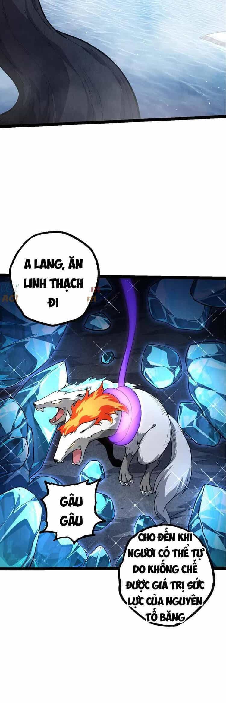 Chuyển Sinh Thành Liễu Đột Biến - Chương 110 - ảnh 24