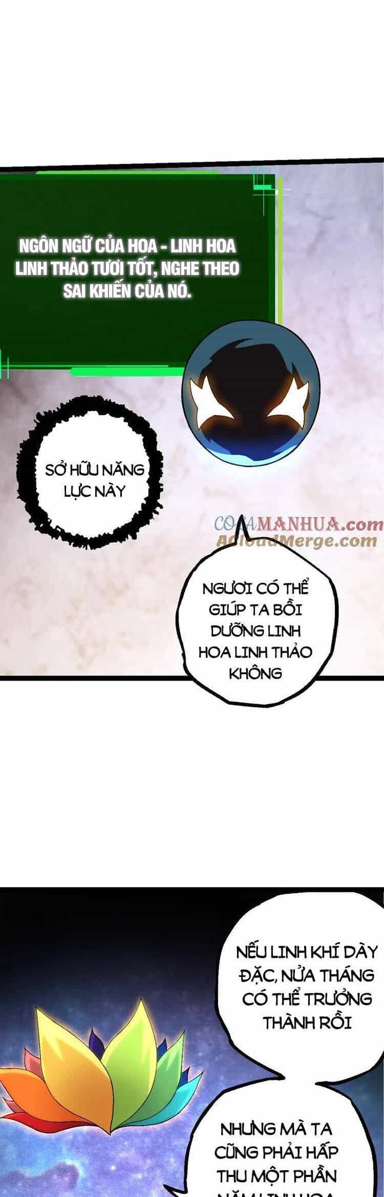 Chuyển Sinh Thành Liễu Đột Biến - Chương 111 - ảnh 8