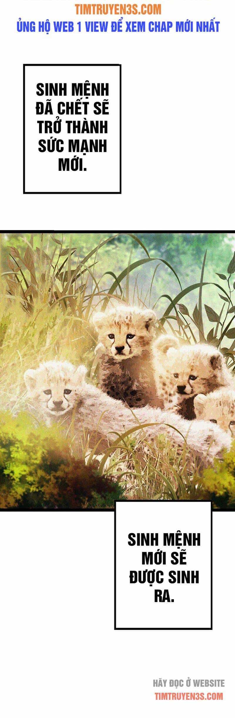Chuyển Sinh Thành Liễu Đột Biến - Chương 13 - ảnh 63