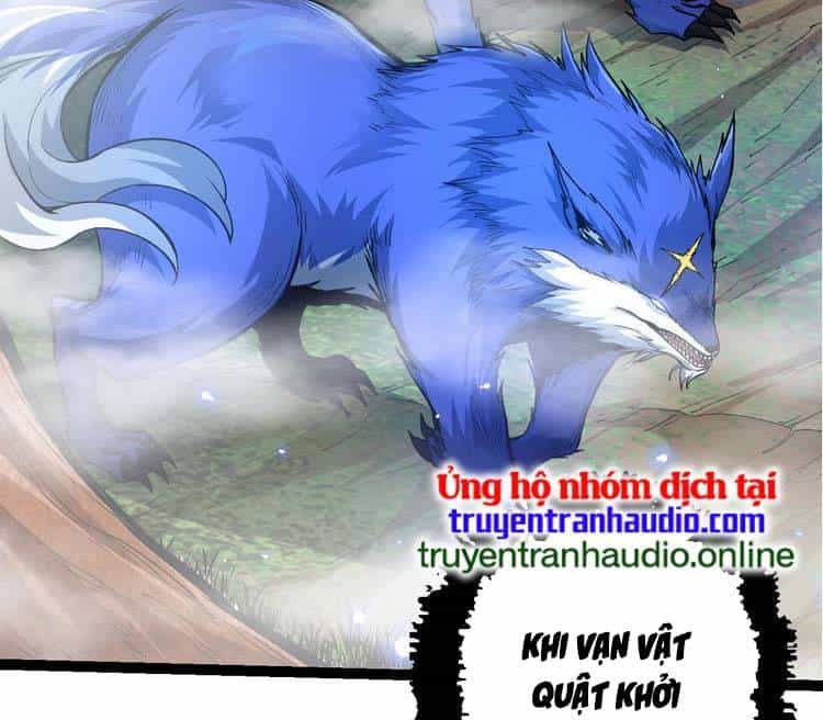 Chuyển Sinh Thành Liễu Đột Biến - Chương 16 - ảnh 17