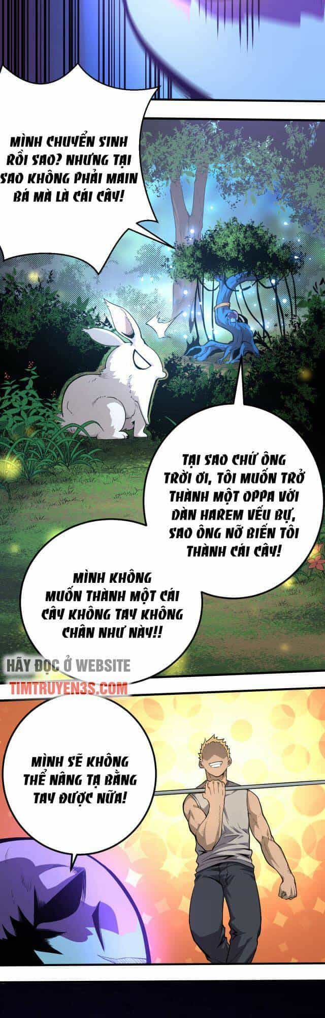 Chuyển Sinh Thành Liễu Đột Biến - Chương 1 - ảnh 11