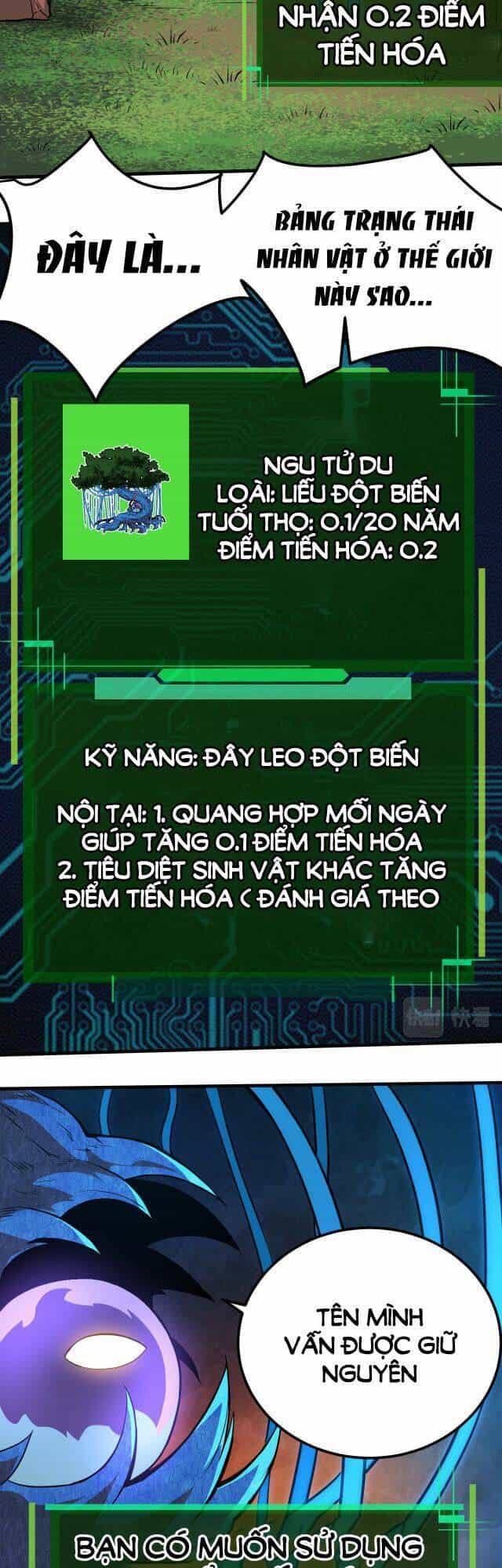 Chuyển Sinh Thành Liễu Đột Biến - Chương 1 - ảnh 22