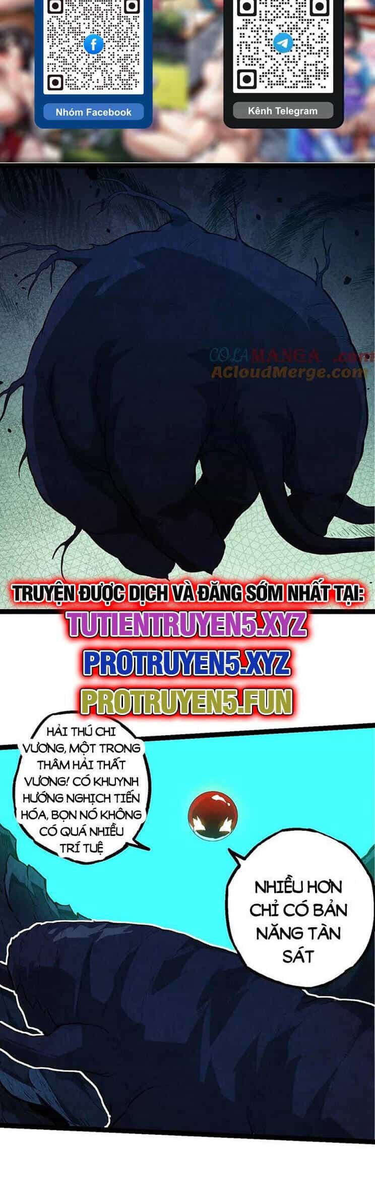 Chuyển Sinh Thành Liễu Đột Biến - Chương 196 - ảnh 2
