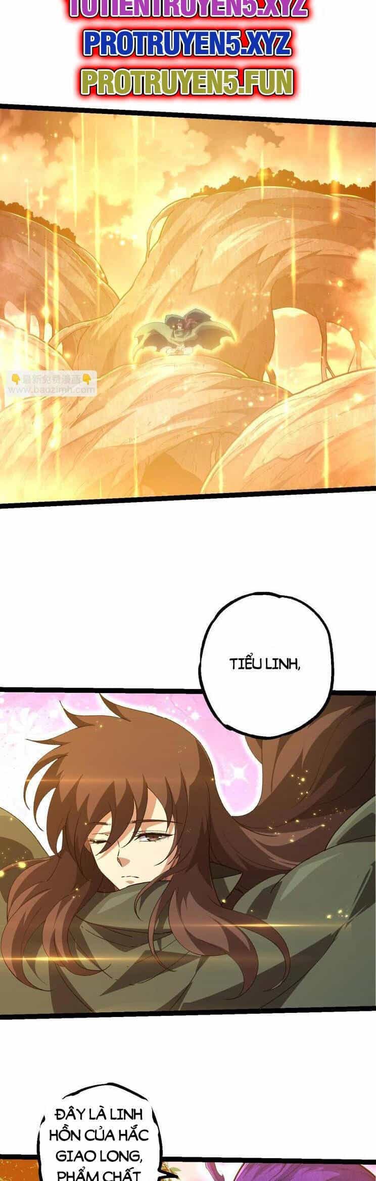 Chuyển Sinh Thành Liễu Đột Biến - Chương 210 - ảnh 7