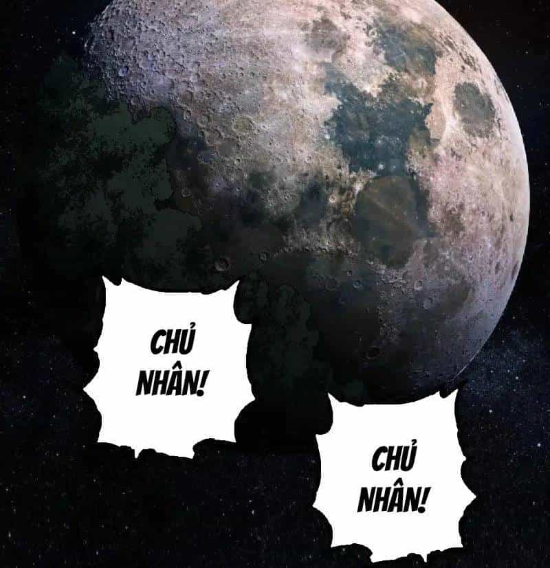 Chuyển Sinh Thành Liễu Đột Biến - Chương 259 - ảnh 15
