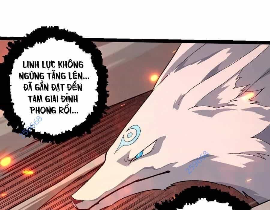 Chuyển Sinh Thành Liễu Đột Biến - Chương 267 - ảnh 91