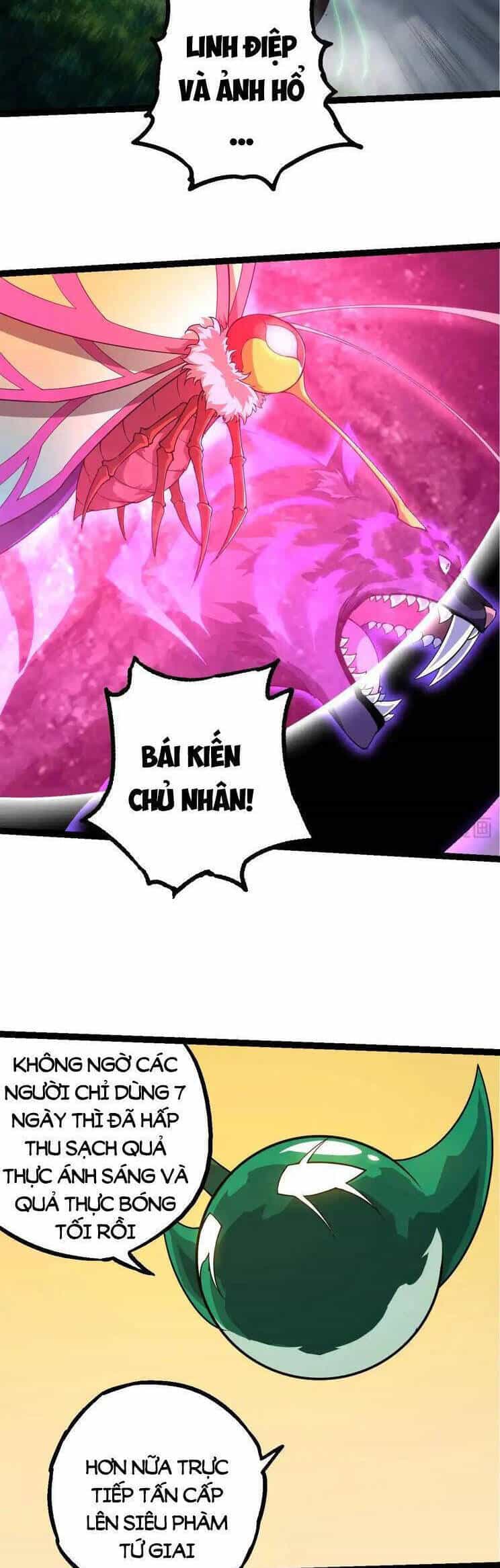 Chuyển Sinh Thành Liễu Đột Biến - Chương 282 - ảnh 23