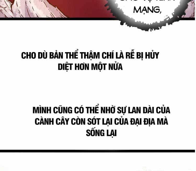 Chuyển Sinh Thành Liễu Đột Biến - Chương 28 - ảnh 17
