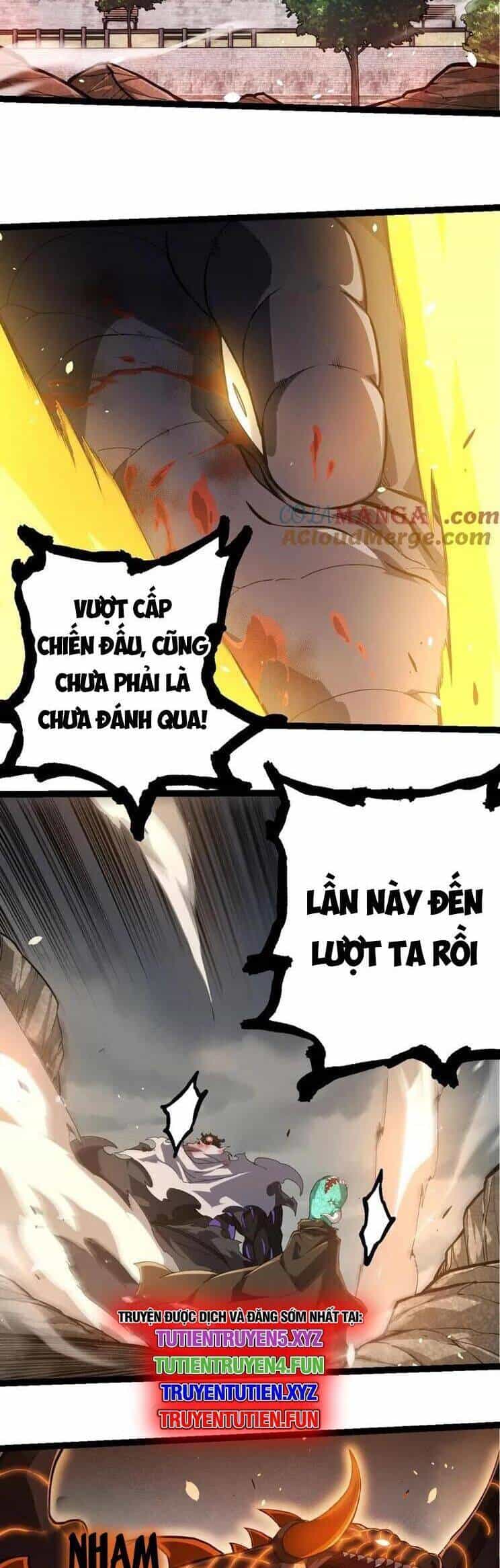 Chuyển Sinh Thành Liễu Đột Biến - Chương 317 - ảnh 21
