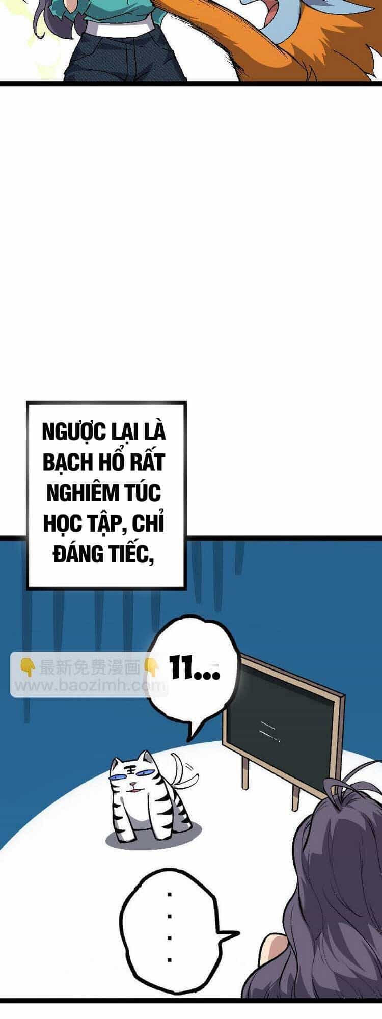 Chuyển Sinh Thành Liễu Đột Biến - Chương 33 - ảnh 31