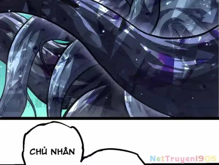 Chuyển Sinh Thành Liễu Đột Biến - Chương 404 - ảnh 35