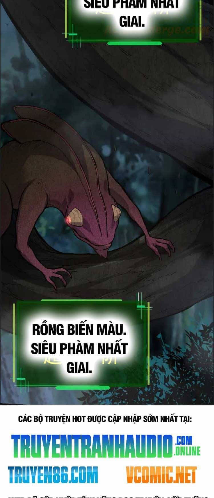 Chuyển Sinh Thành Liễu Đột Biến - Chương 40 - ảnh 48