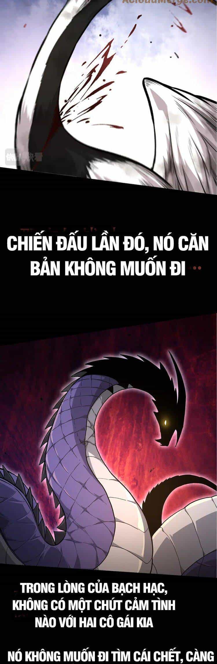 Chuyển Sinh Thành Liễu Đột Biến - Chương 54 - ảnh 25