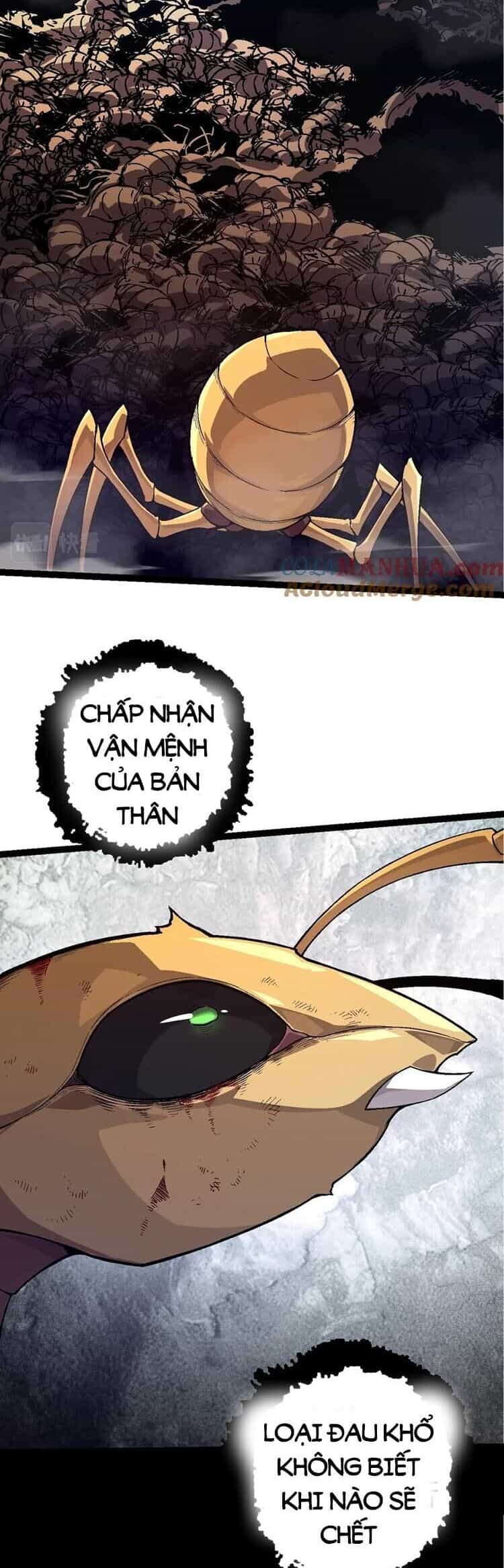 Chuyển Sinh Thành Liễu Đột Biến - Chương 59 - ảnh 2