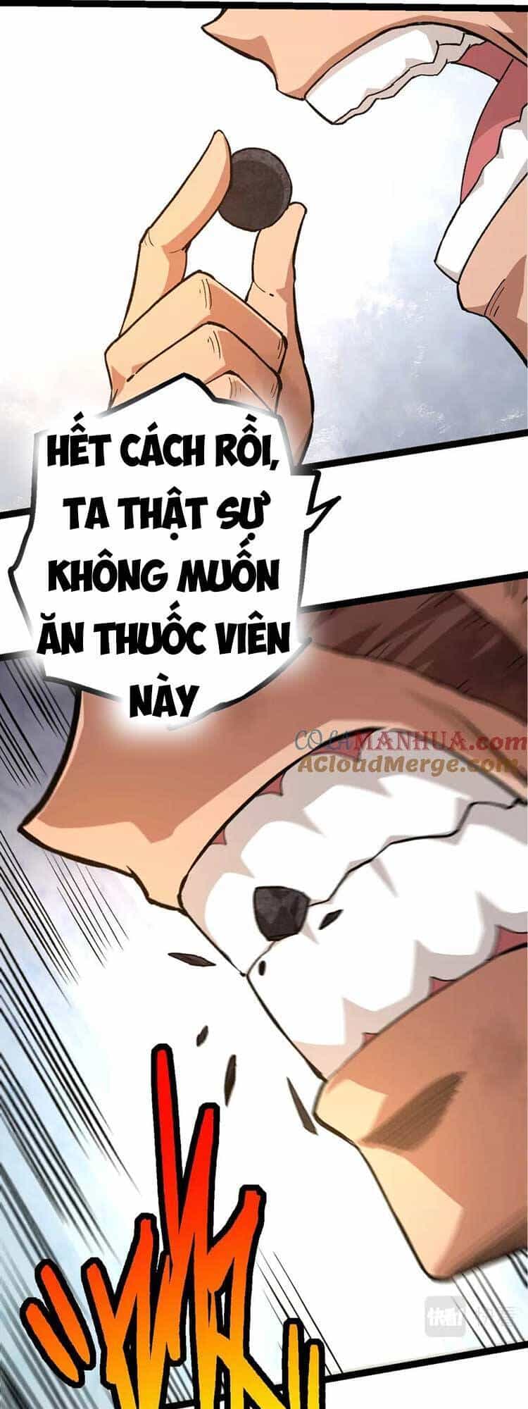 Chuyển Sinh Thành Liễu Đột Biến - Chương 63 - ảnh 14