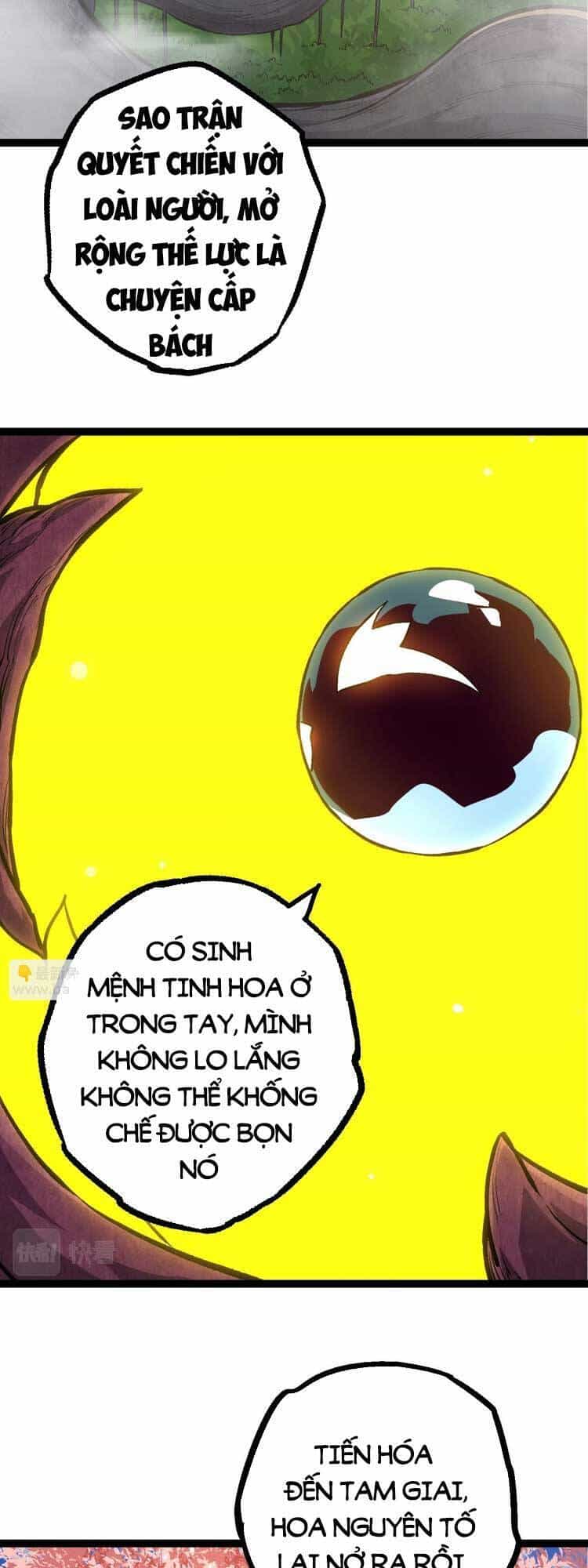 Chuyển Sinh Thành Liễu Đột Biến - Chương 71 - ảnh 20