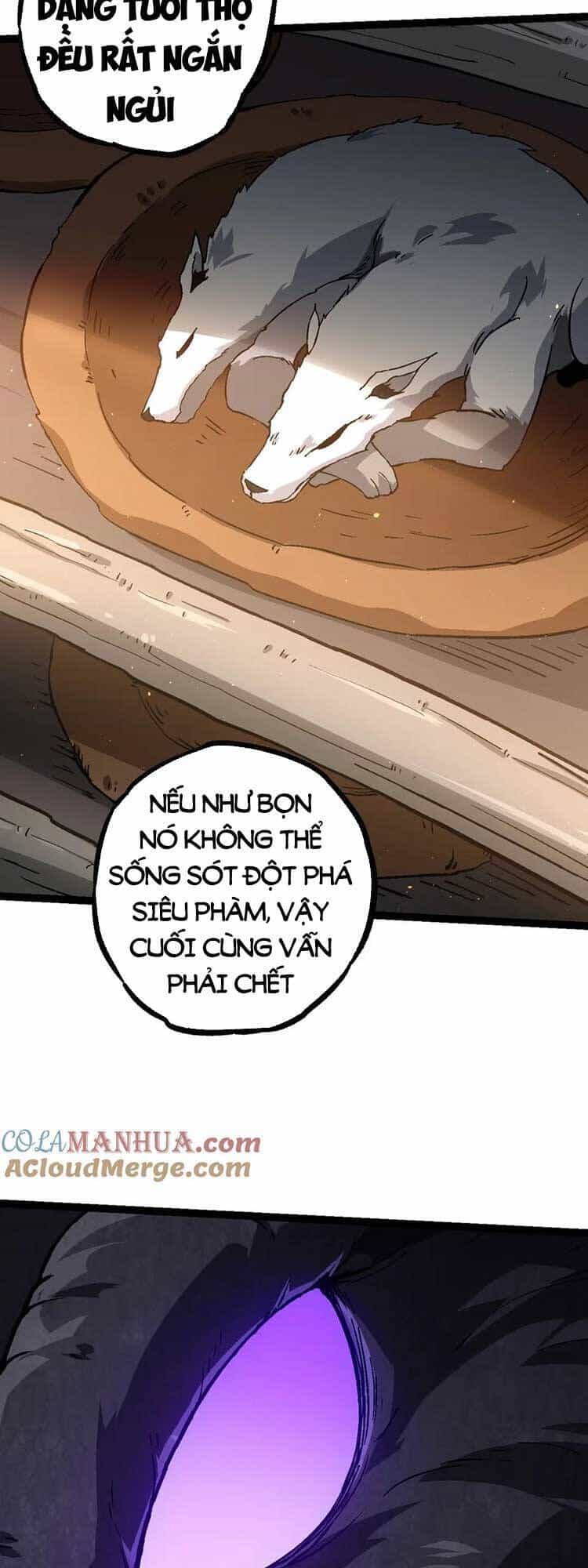 Chuyển Sinh Thành Liễu Đột Biến - Chương 81 - ảnh 10