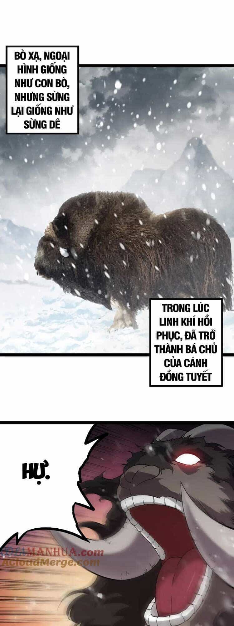 Chuyển Sinh Thành Liễu Đột Biến - Chương 83 - ảnh 4