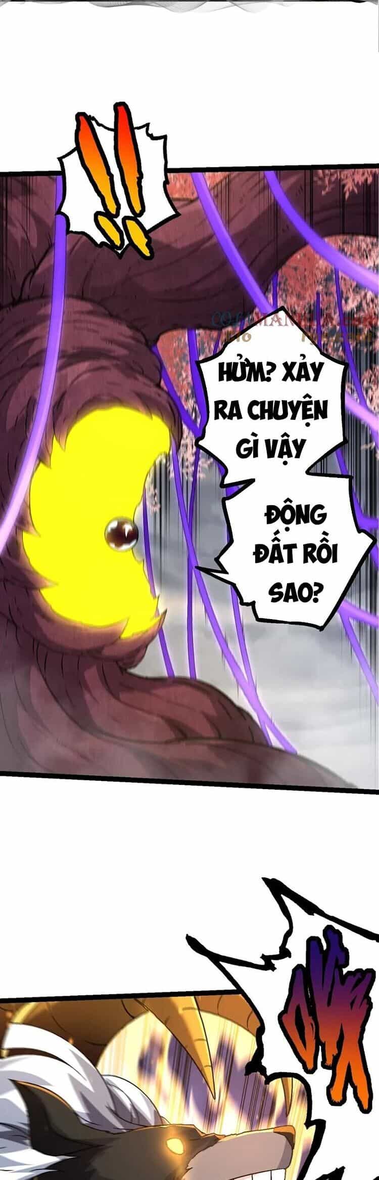 Chuyển Sinh Thành Liễu Đột Biến - Chương 90 - ảnh 11