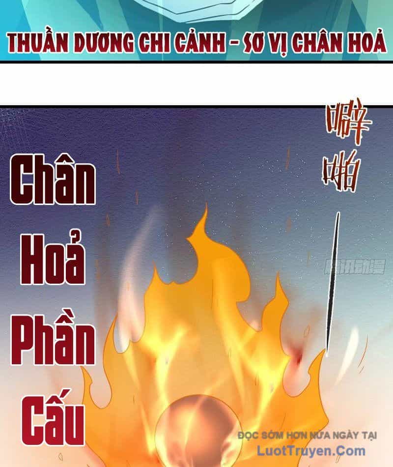 Chuyển Sinh Thành Tra Nam, Ta Giúp Thê Tử Trường Sinh - Chương 43 - ảnh 39