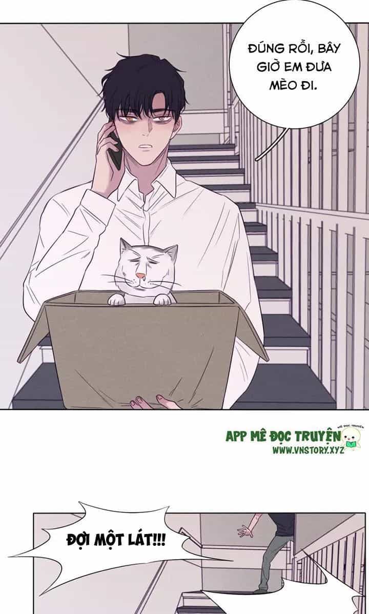 Chuyên Tình Yêu Của Ông Chú Cool Ngầu - Chương 59 - ảnh 19