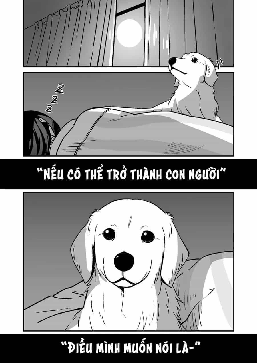 Chuyện Về Cô Cún Cưng Hóa Thành Người - Chương 1 - ảnh 2