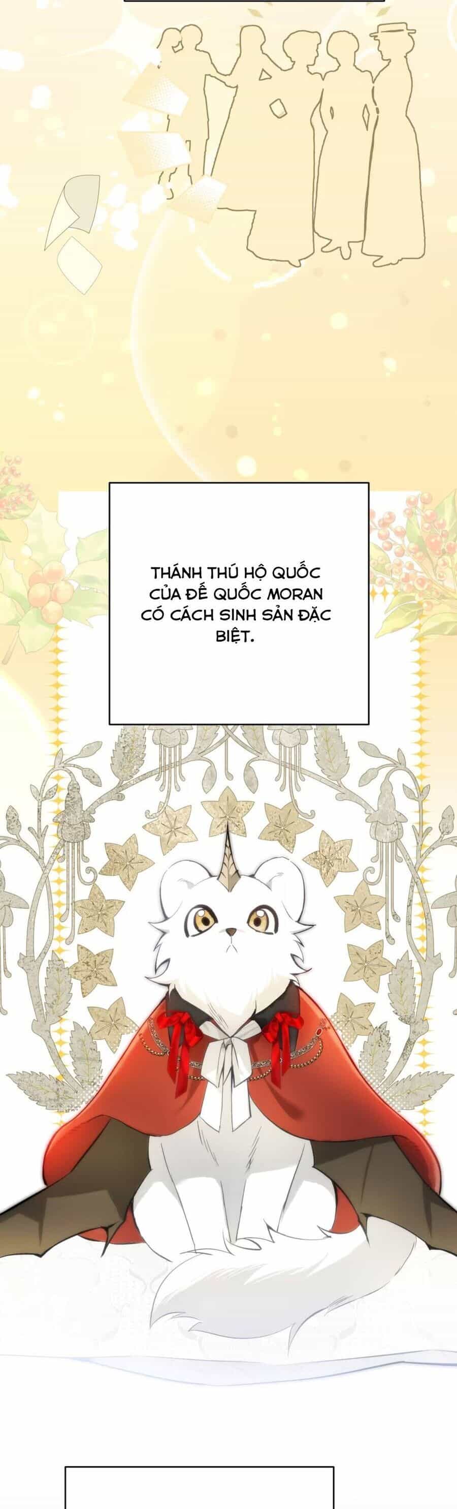 Cô Ấy Sẽ Thuần Hóa Các Anh Hùng - Chương 9 - ảnh 29