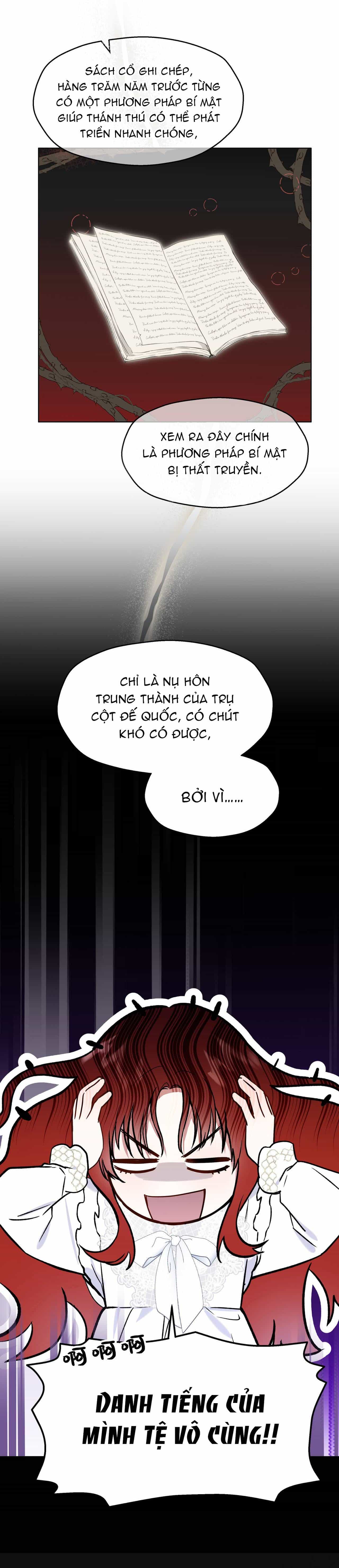 Cô Ấy Sẽ Thuần Phục Anh Hùng - Chương 2 - ảnh 12
