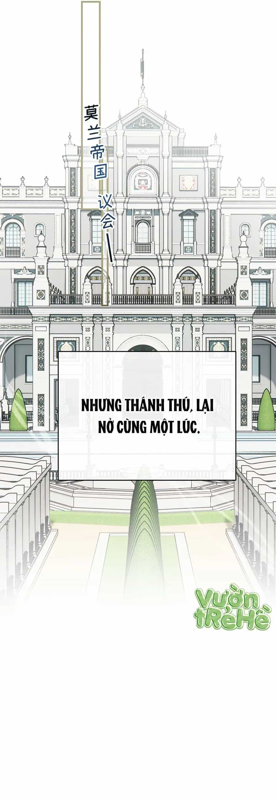Cô Ấy Sẽ Thuần Phục Anh Hùng - Chương 8 - ảnh 44