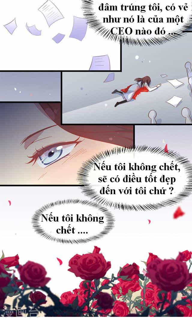 Cô Dâu Của Ma Cà Rồng - Chương 1 - ảnh 4