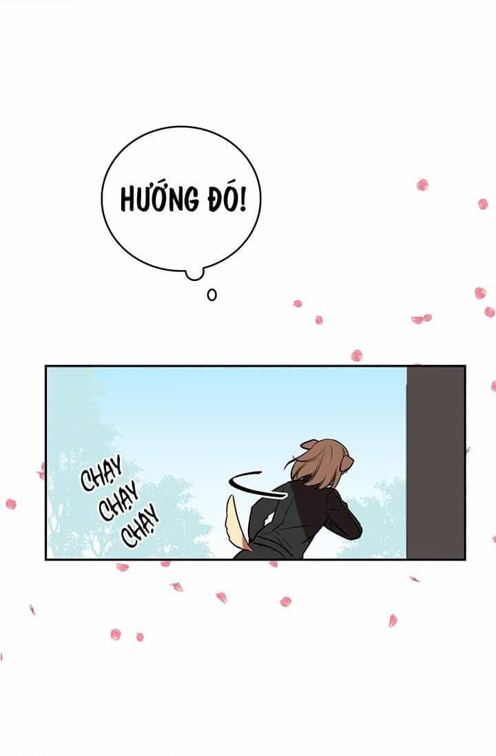 Cô Dâu Của Miêu Hoàng Tử - Chương 3 - ảnh 16