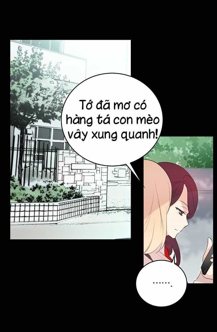 Cô Dâu Của Miêu Hoàng Tử - Chương 3 - ảnh 32