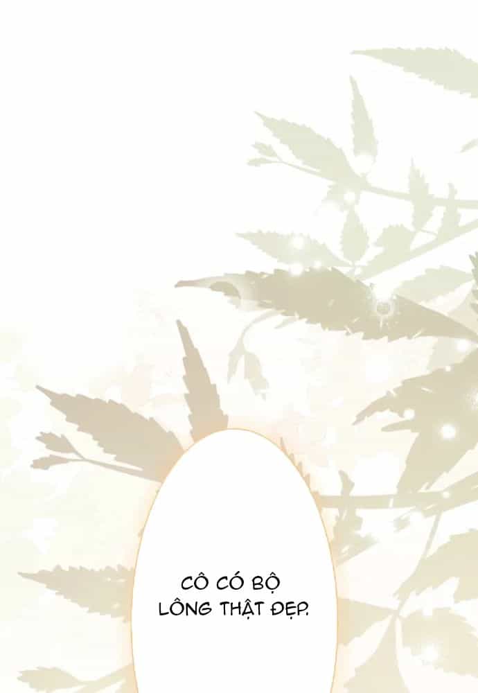 Cô Dâu Của Sói Trắng - Chương 105.1 - ảnh 2